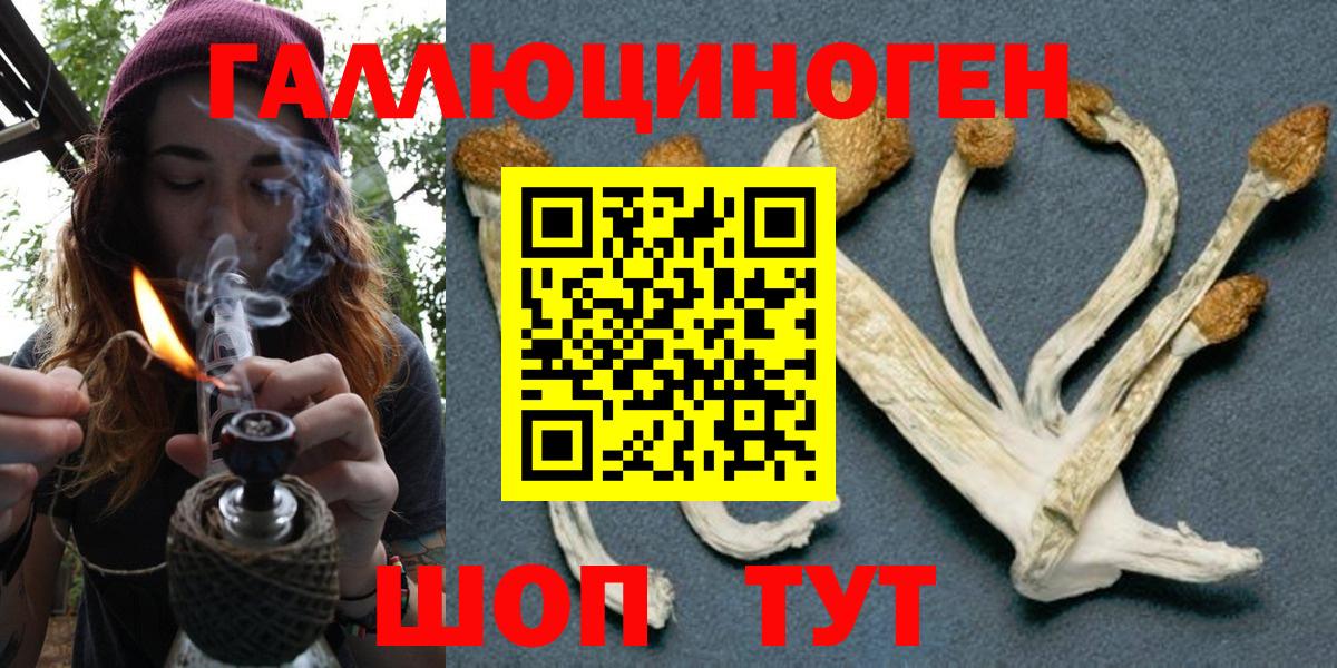 Семилуки  Псилоцибиновые грибы Psilocybe  Вход с VPN 