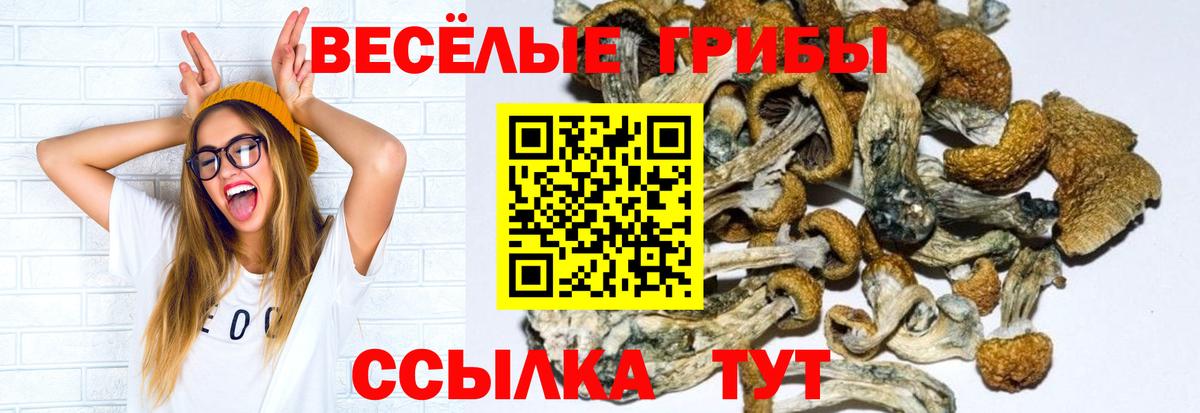 Псилоцибиновые грибы мухоморы Семилуки